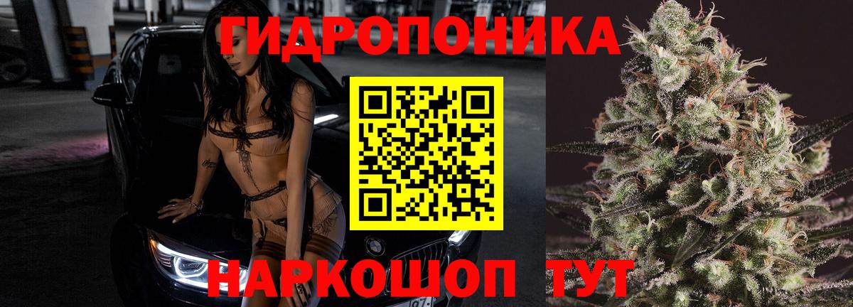 Бошки марихуана семена  Конопля планчик  Канабис тримм  Вход с VPN  Шишки марихуана White Widow  Бузулук 